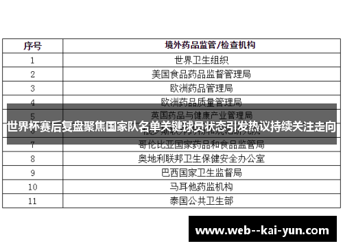 世界杯赛后复盘聚焦国家队名单关键球员状态引发热议持续关注走向 世界杯赛后复盘聚焦国家队名单关键球员状态引发热议持续关注走向